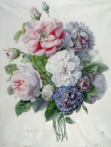 Composizioni Floreali